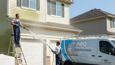 Vinyl siding pressure cleaning in Pittsburgh, PA for algae, mold, and grime removal